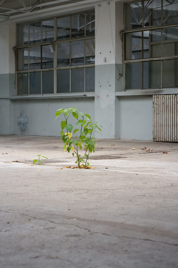 VIENNA DESIGN WEEK 2025 | Festivalzentrale