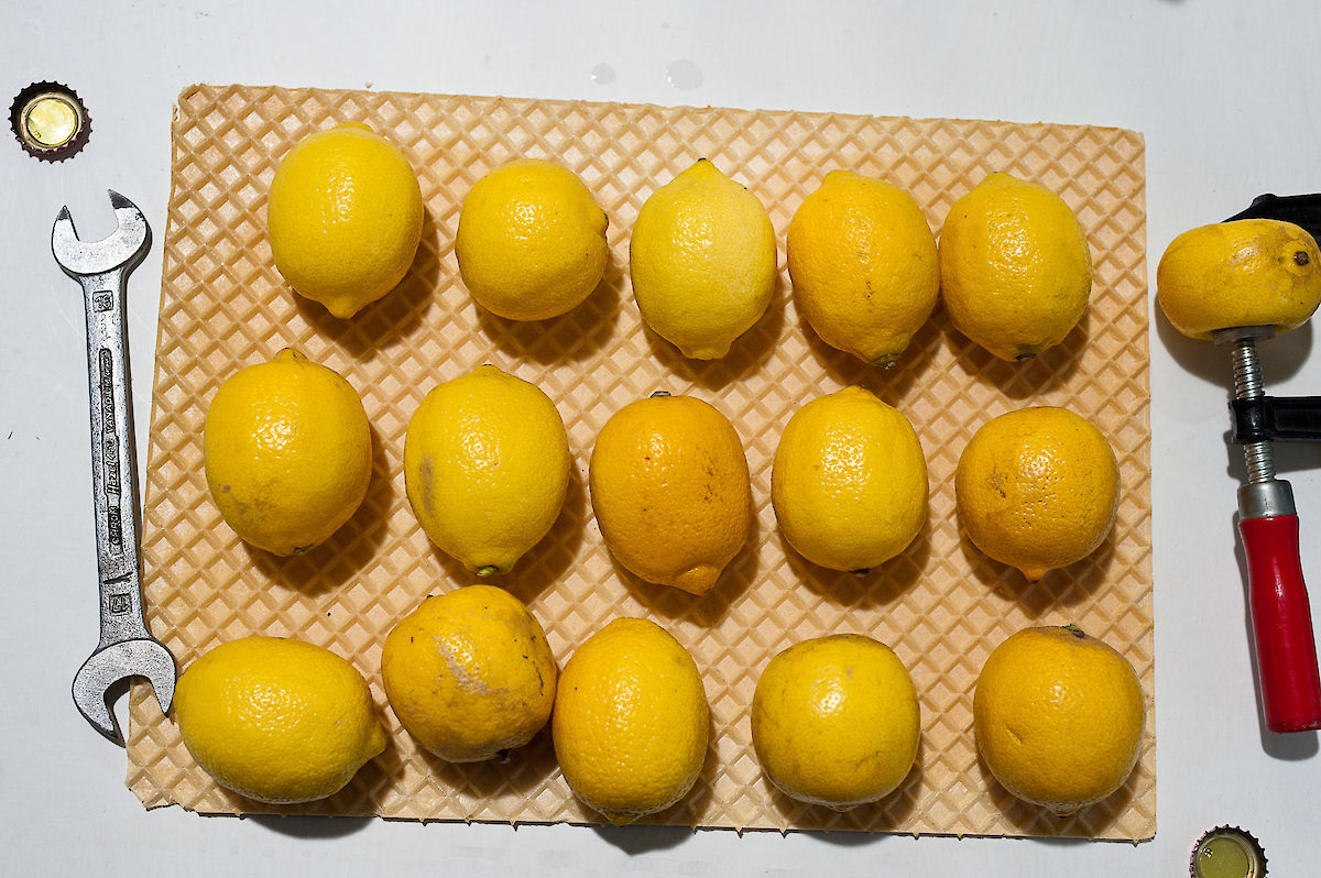 honey &amp; bunny productions food tools – eine Food-Design-Performance