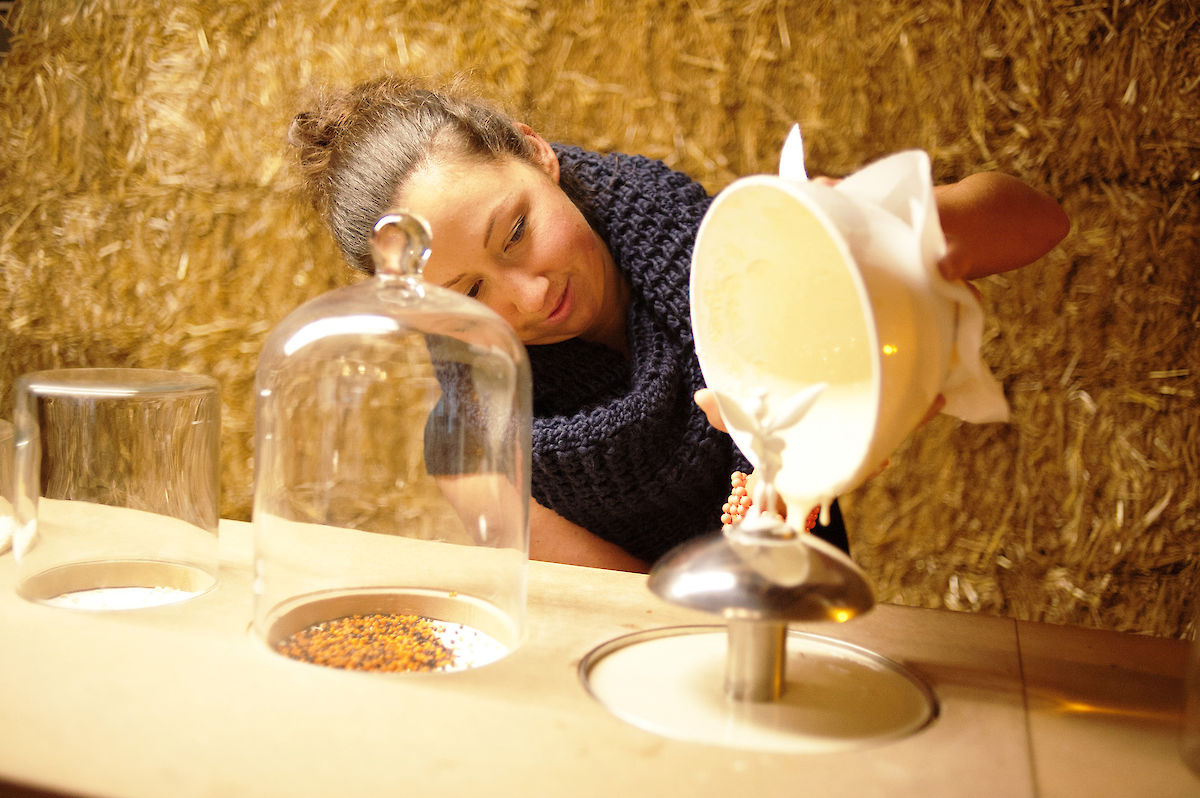 Vera Wiedermann Frisch gebacken Carte Blanche