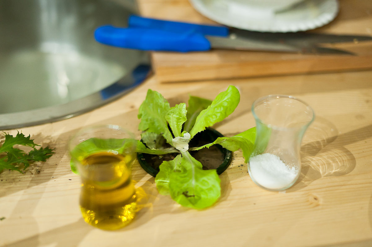 Carte Blanche Finissage