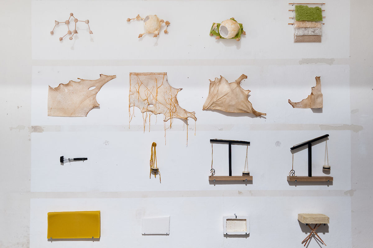 20120929_Mutation_ALB_343