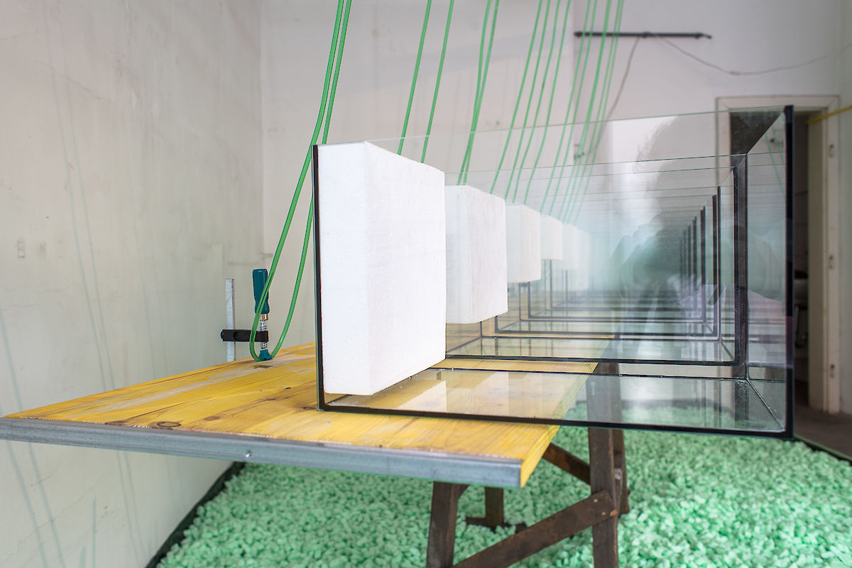 20120929_IMG_9745_rai