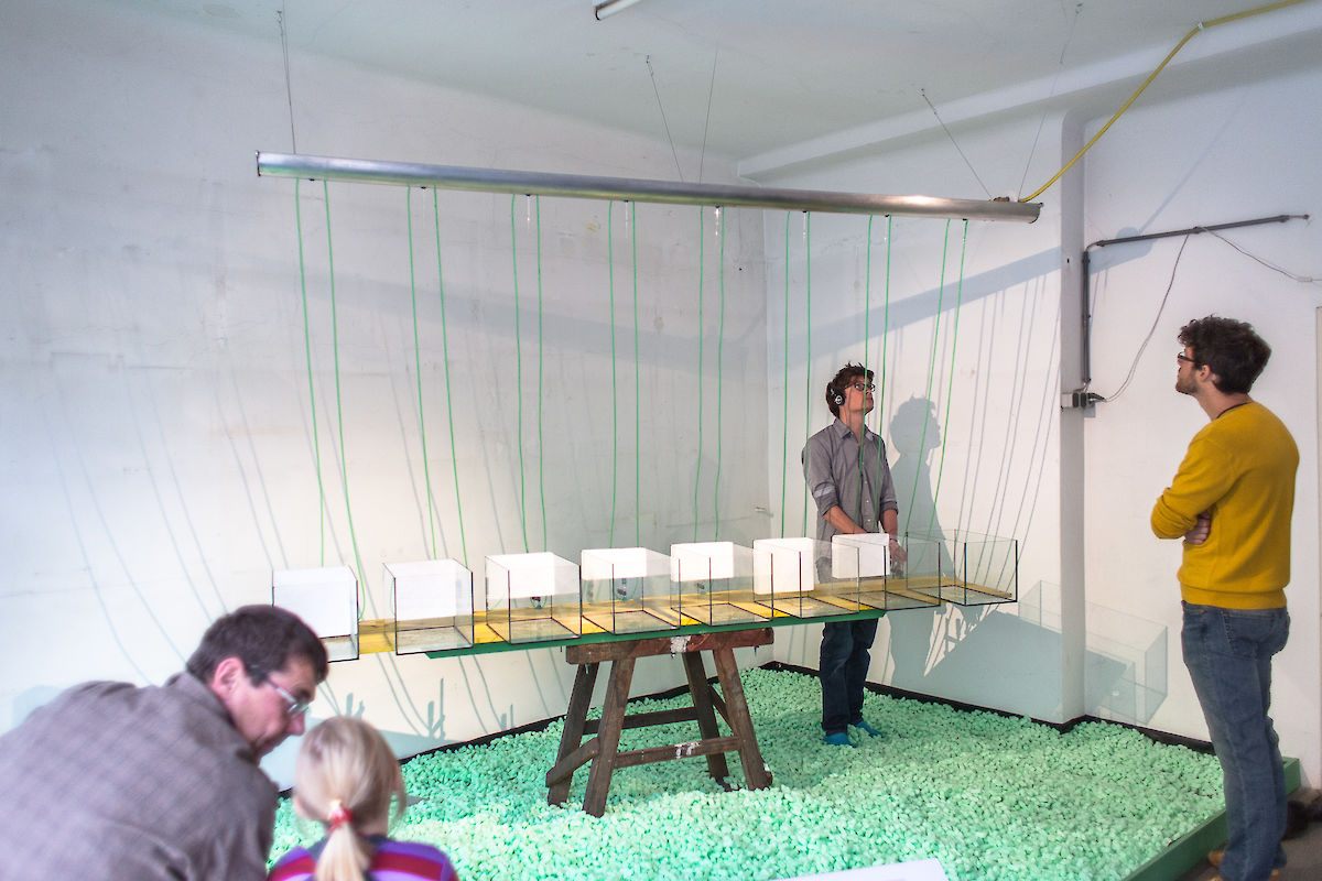 20120929_IMG_9778_rai