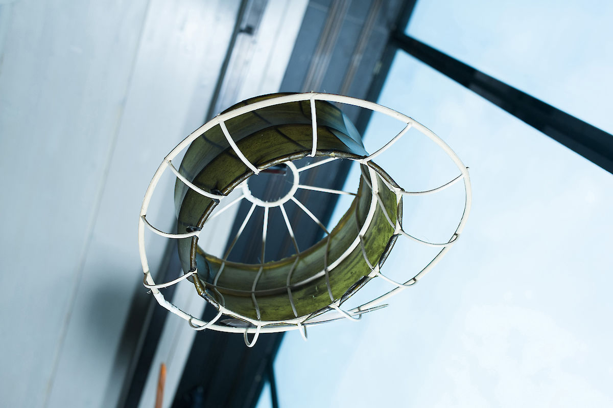 38335_120930_LabTalkJuliaLohmann_nim