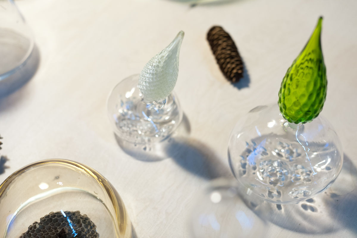 20120929_Forest_ALB_156