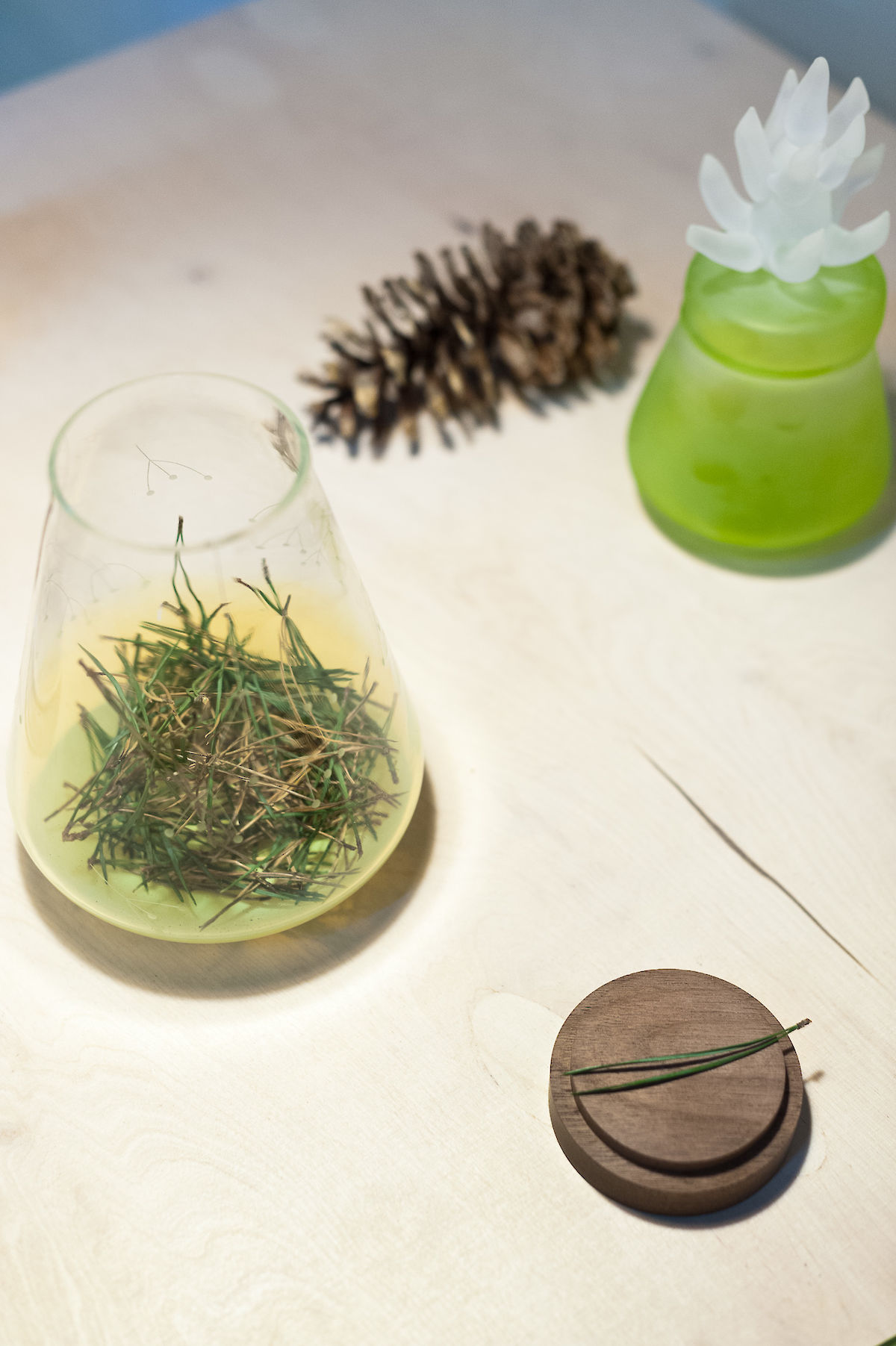 20120929_Forest_ALB_159