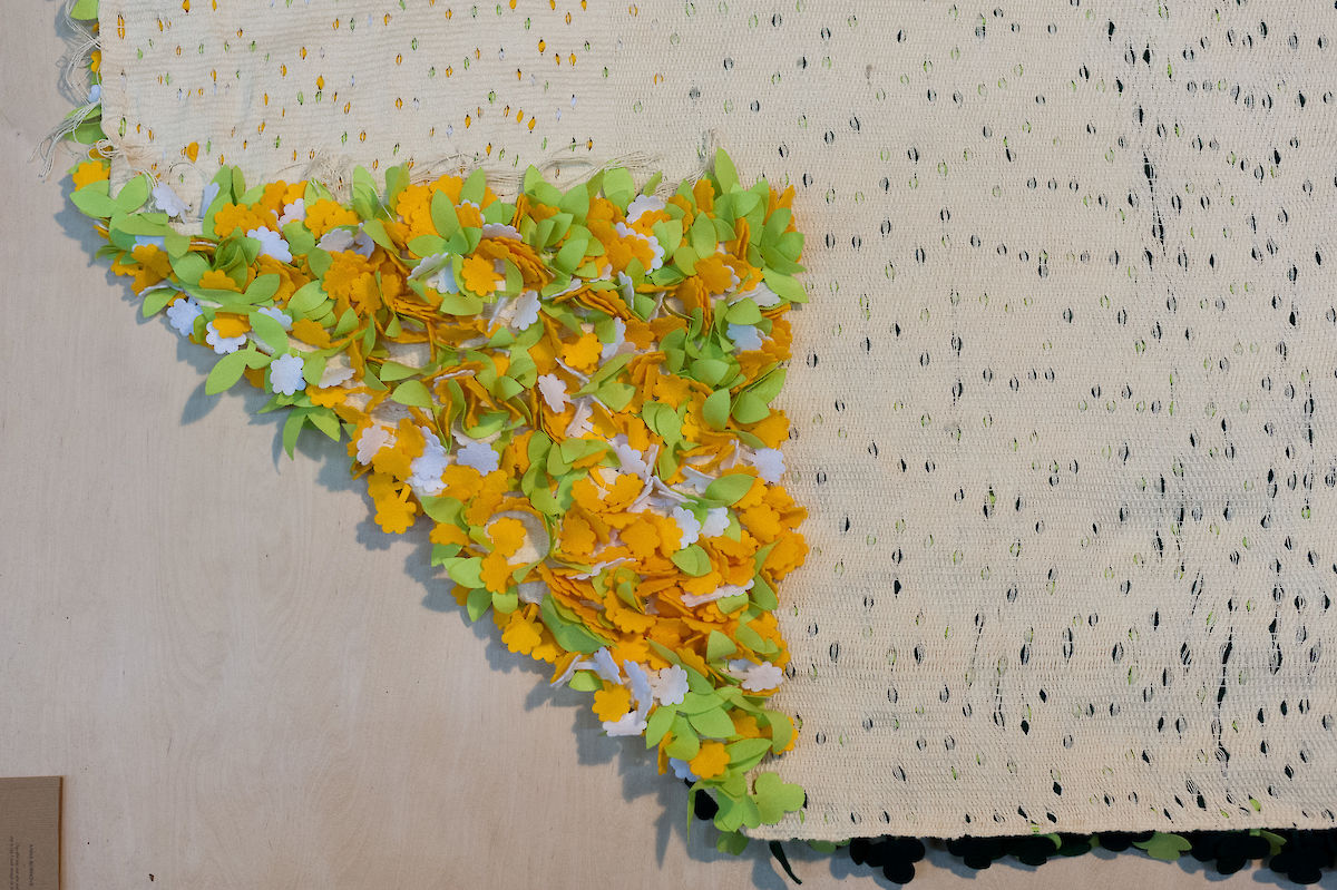 20120929_Forest_ALB_182