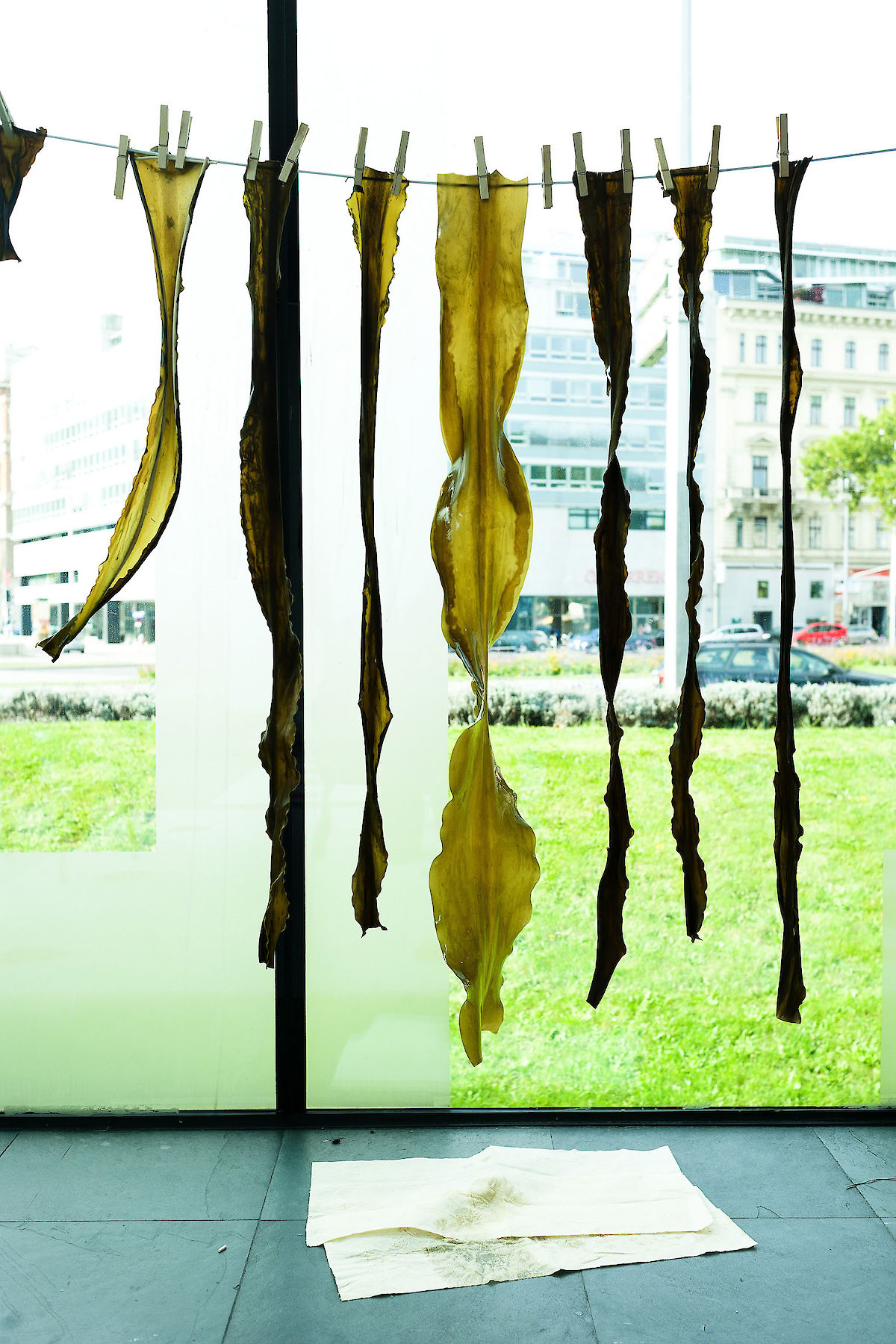 20120930_KRA2221_kra