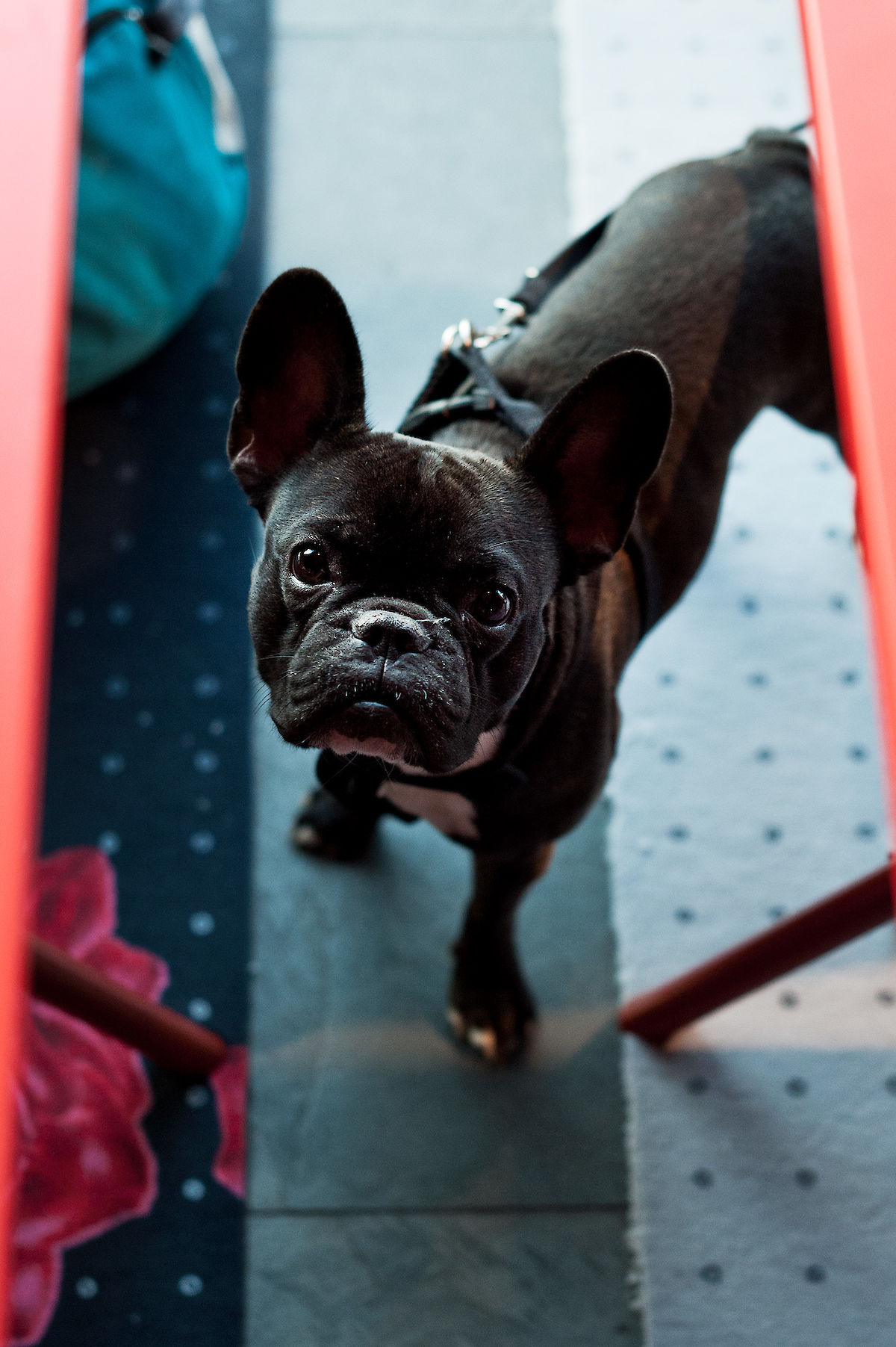 20121002_Labortalk_ALB_106