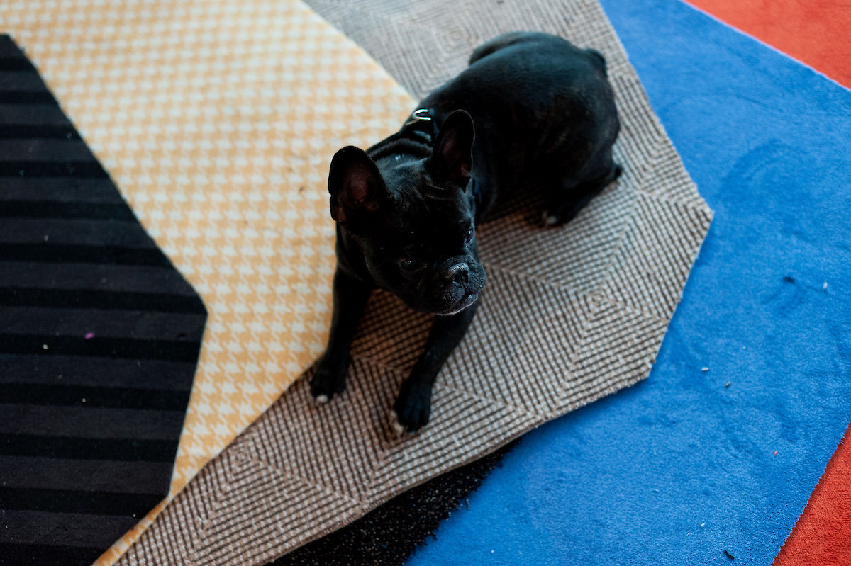 20121003_Labor_ALB_046