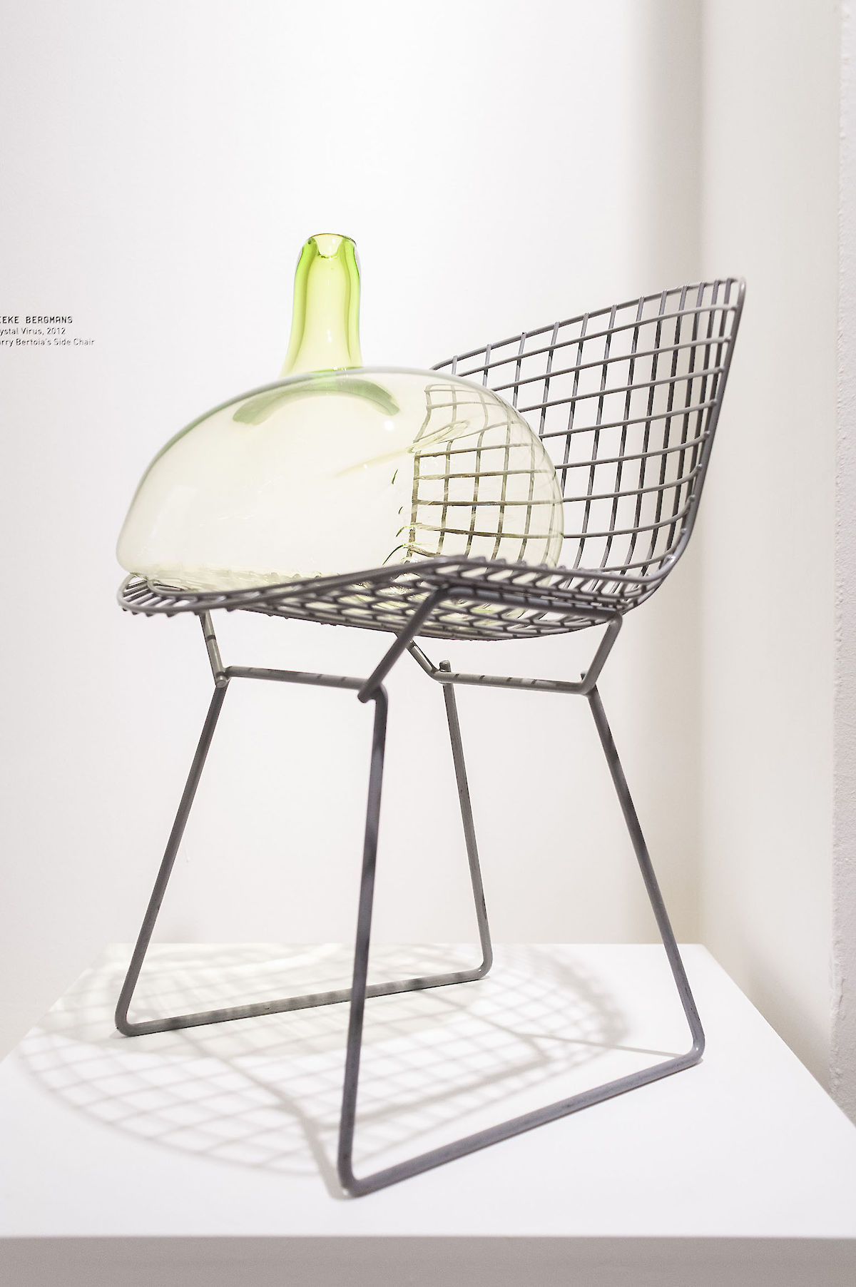 38757_121006_CuckooSyndrome_nim