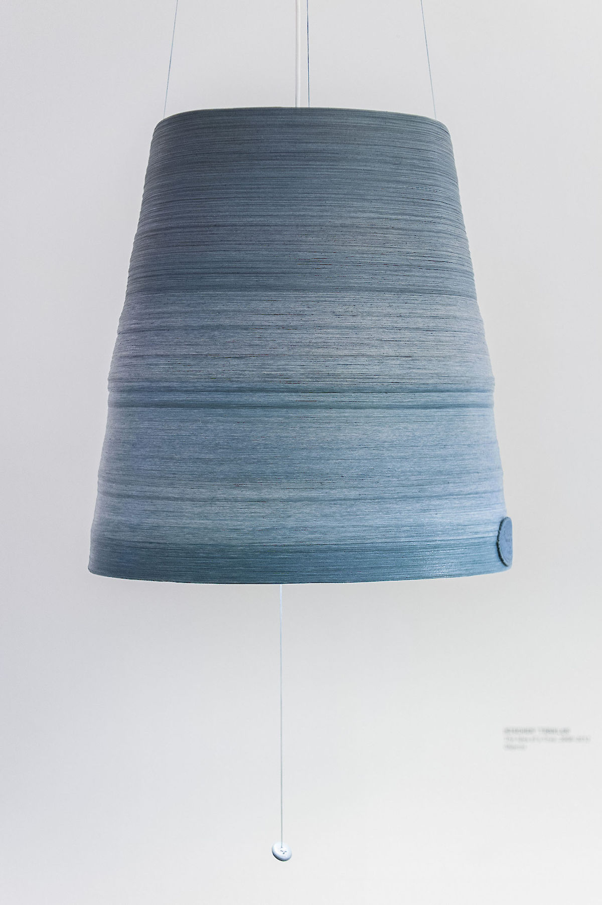 38753_121006_CuckooSyndrome_nim