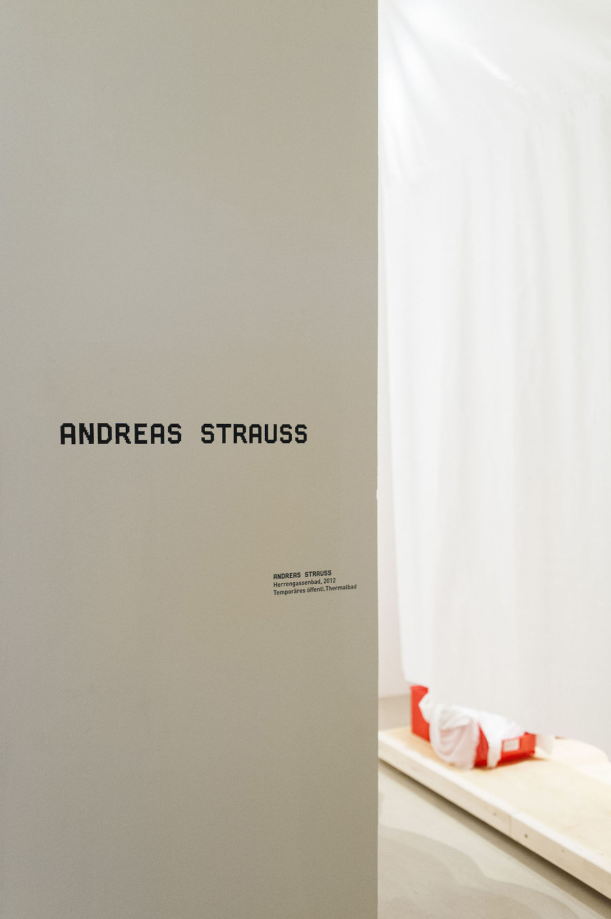 38812_121006_CuckooSyndrome_nim