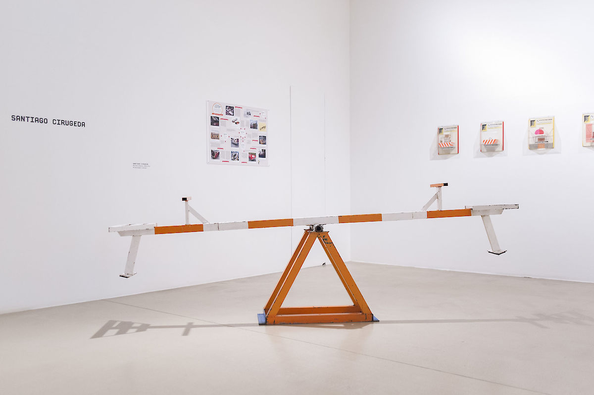 38754_121006_CuckooSyndrome_nim