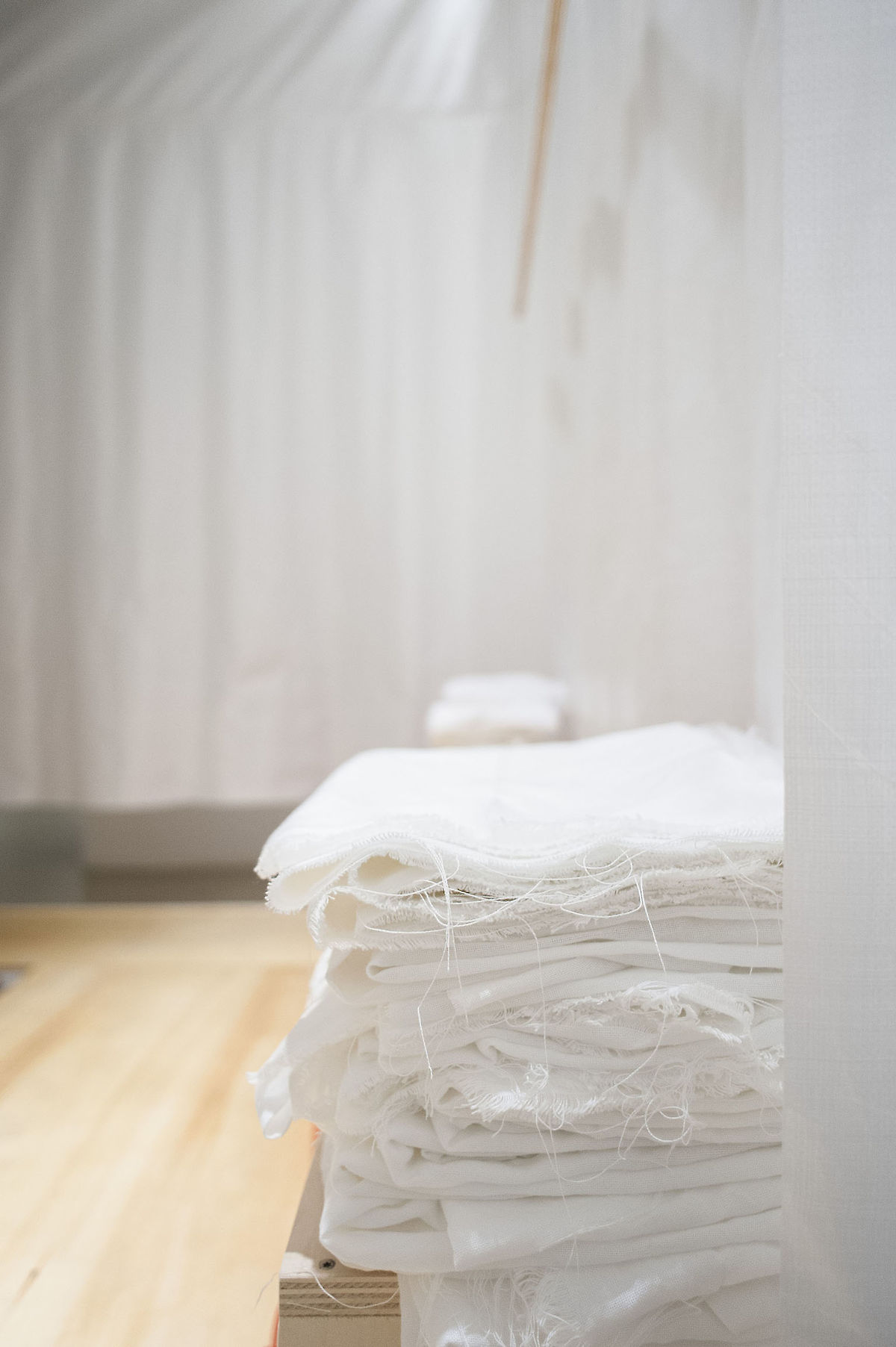 38759_121006_CuckooSyndrome_nim