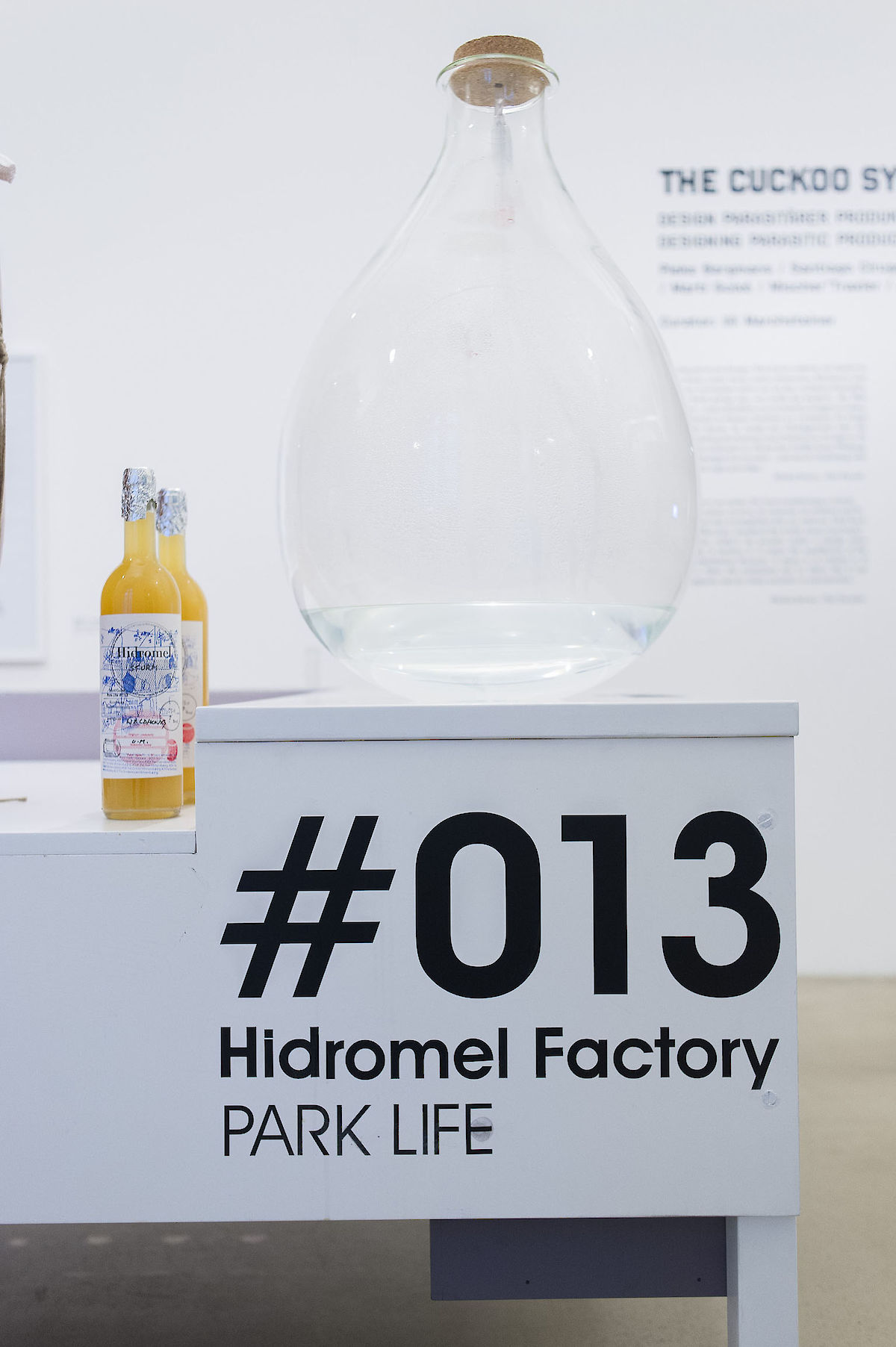 38756_121006_CuckooSyndrome_nim