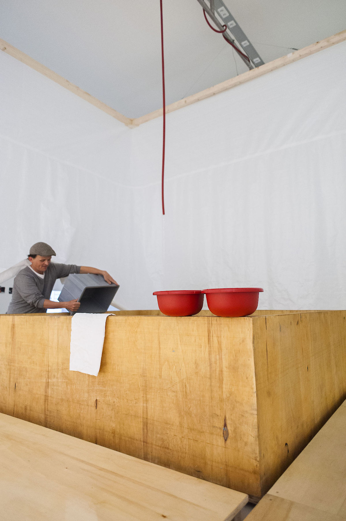 38767_121006_CuckooSyndrome_nim