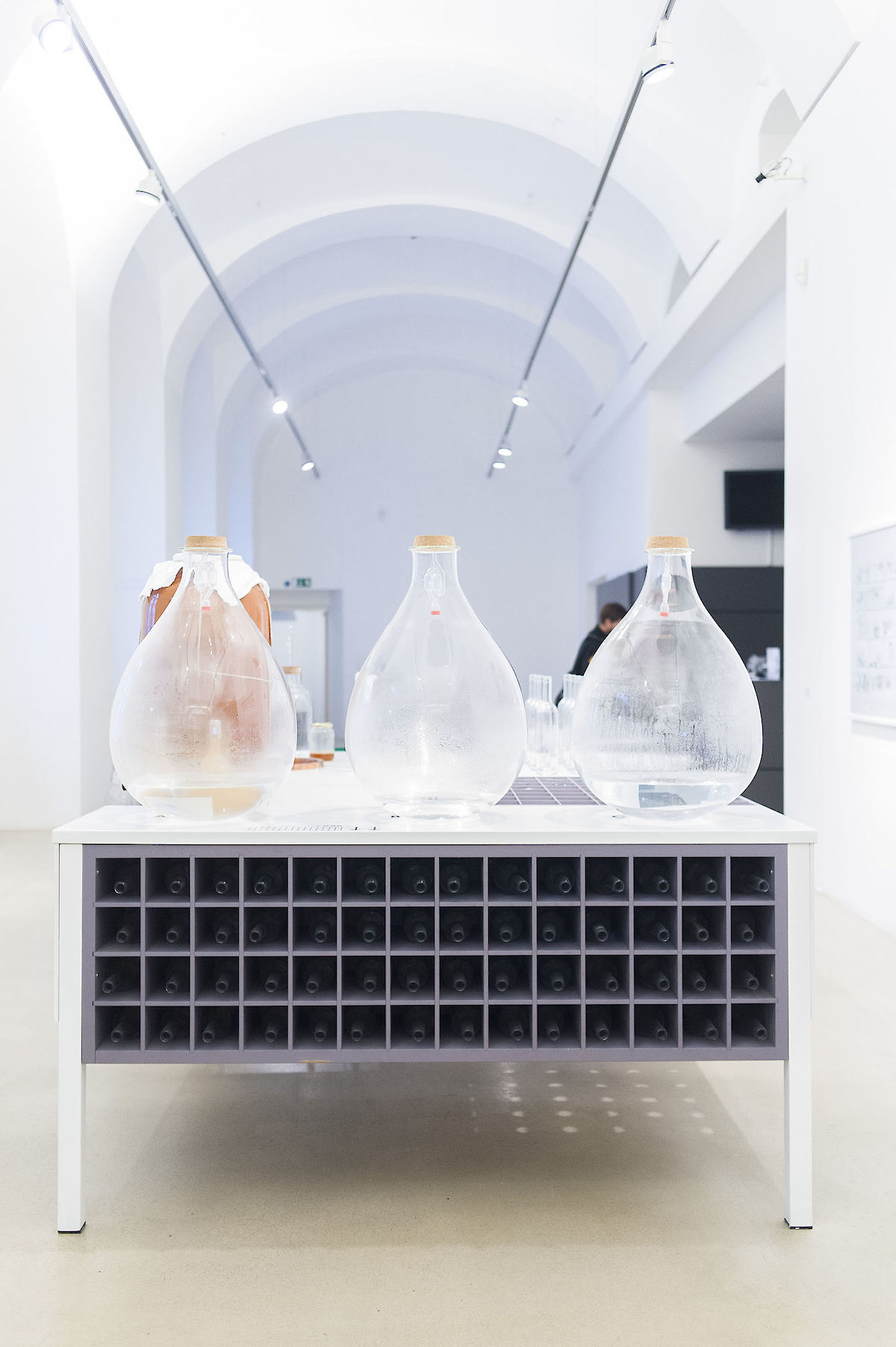 38755_121006_CuckooSyndrome_nim