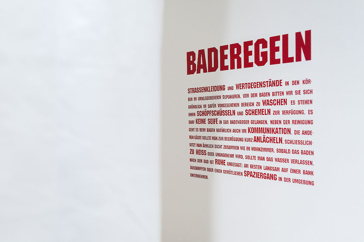 38808_121006_CuckooSyndrome_nim