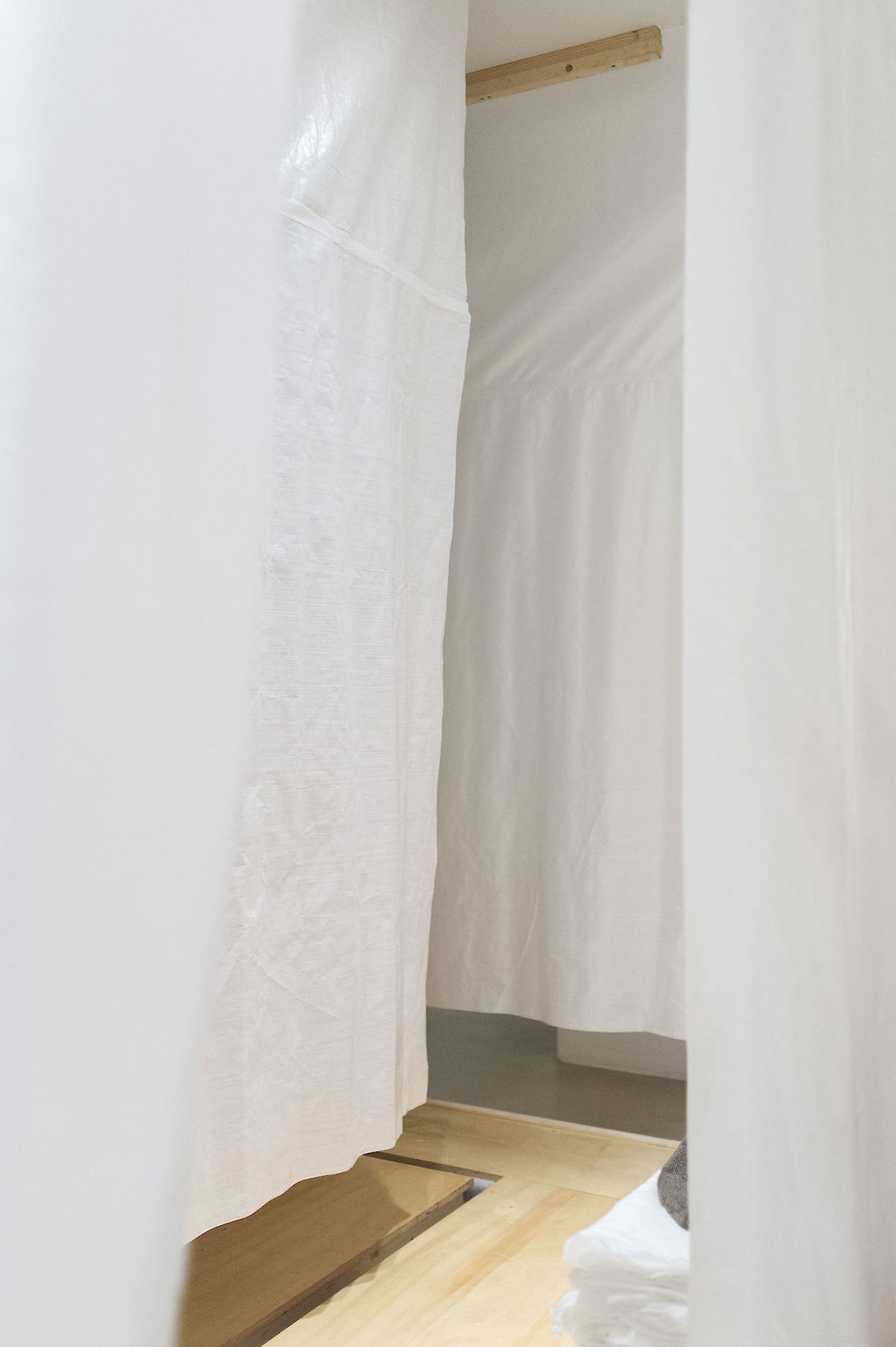 38811_121006_CuckooSyndrome_nim