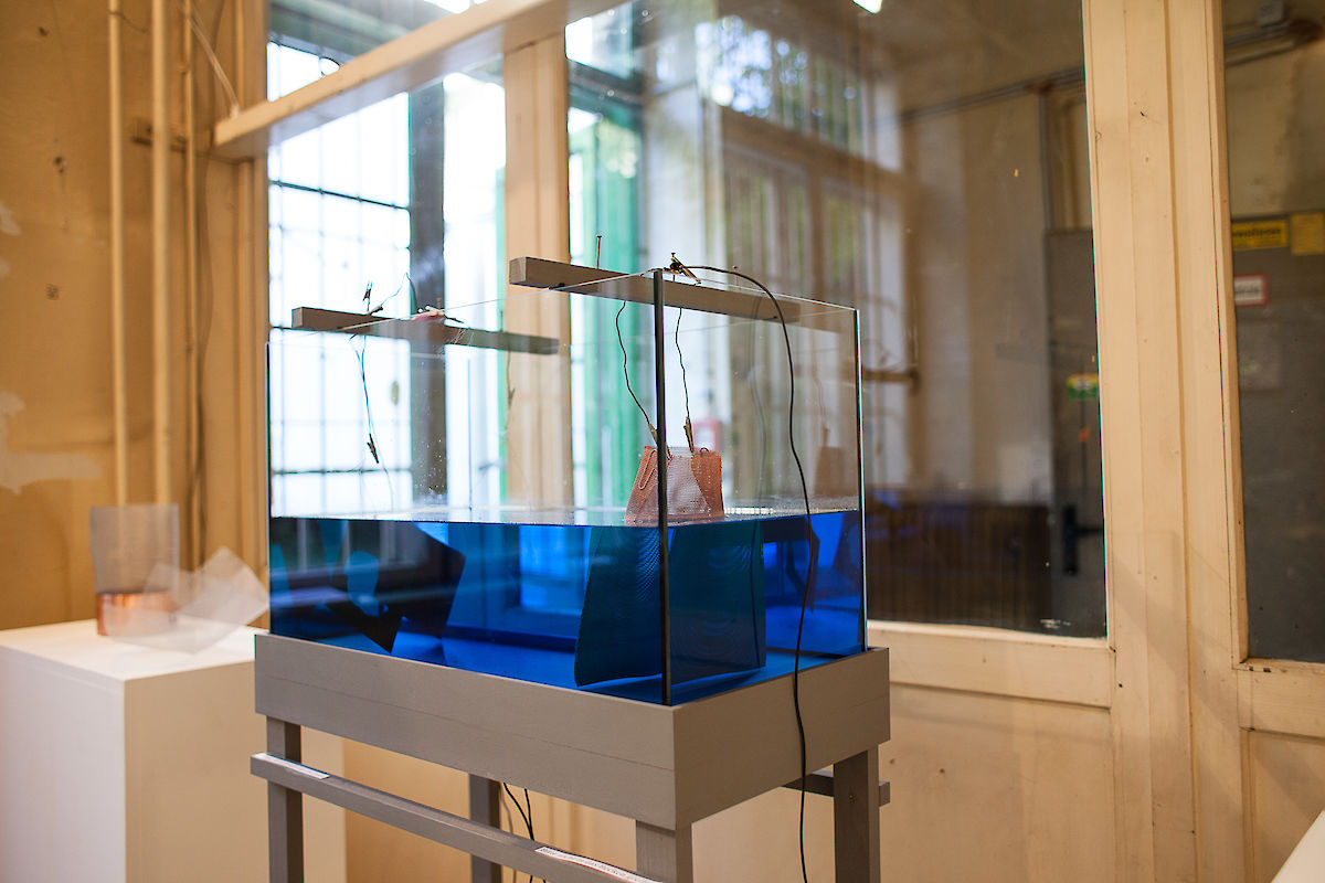 20121006_IMG_2305_rai