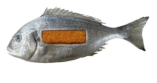food design